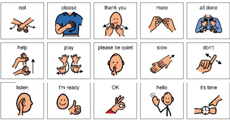 Sign Language Words for Children