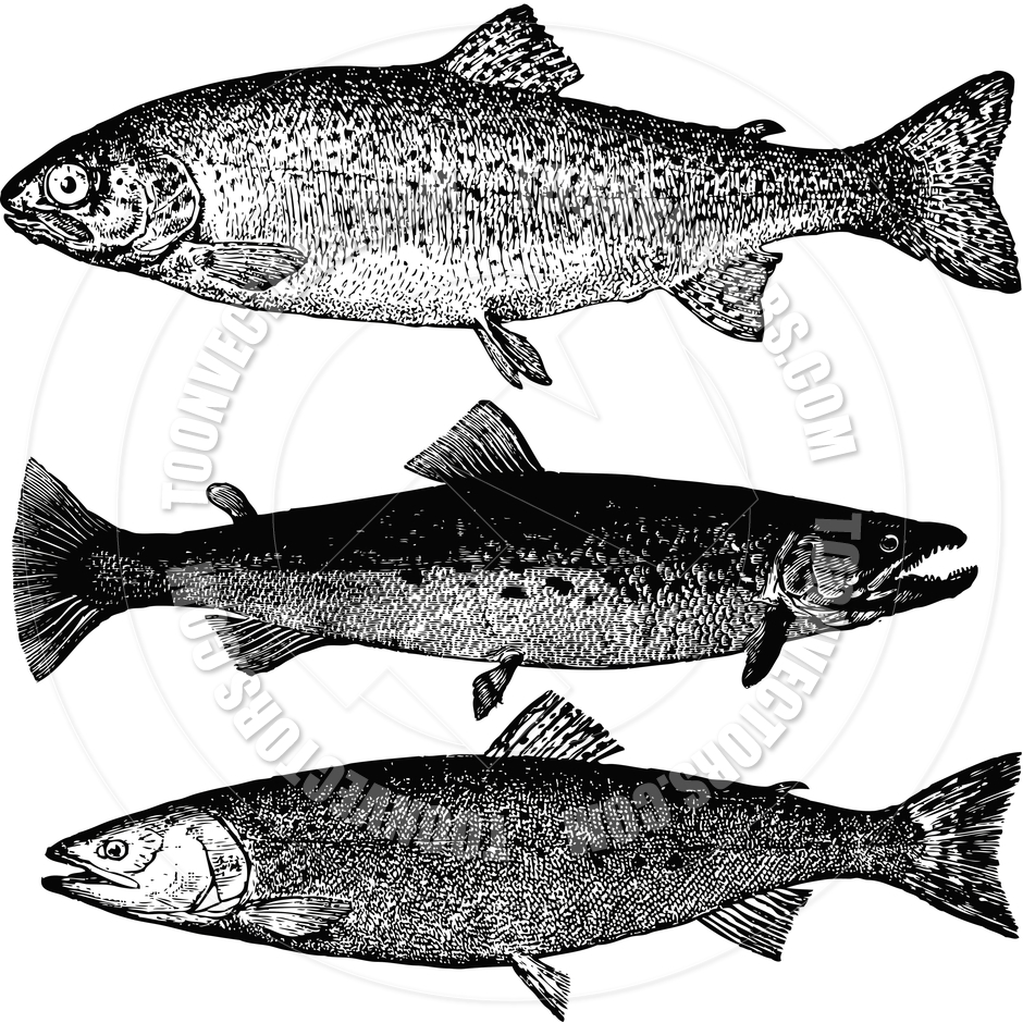 Trout Clip Art Black and White