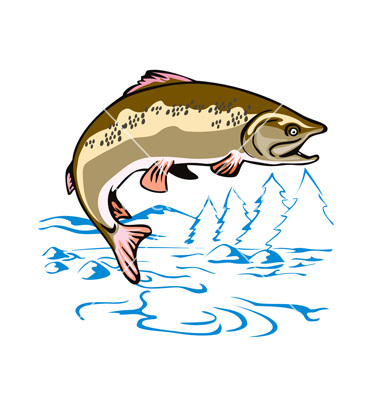 Trout Fish Jumping Trout Fish Jumping