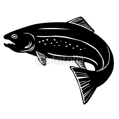 Trout Silhouette Vector