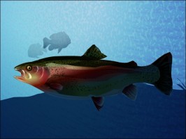 Trout Vector Art Free