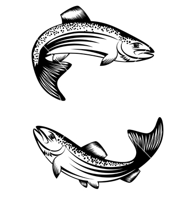 Trout Vector Art