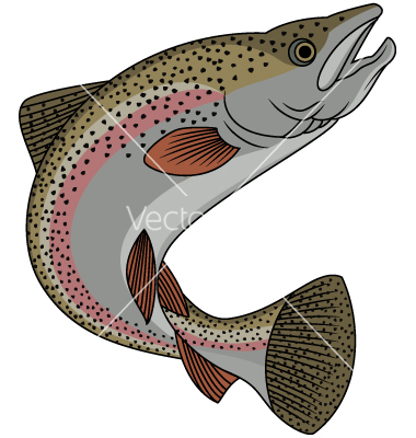 Trout Vector Art