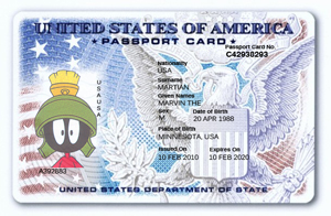 USA Passport Template