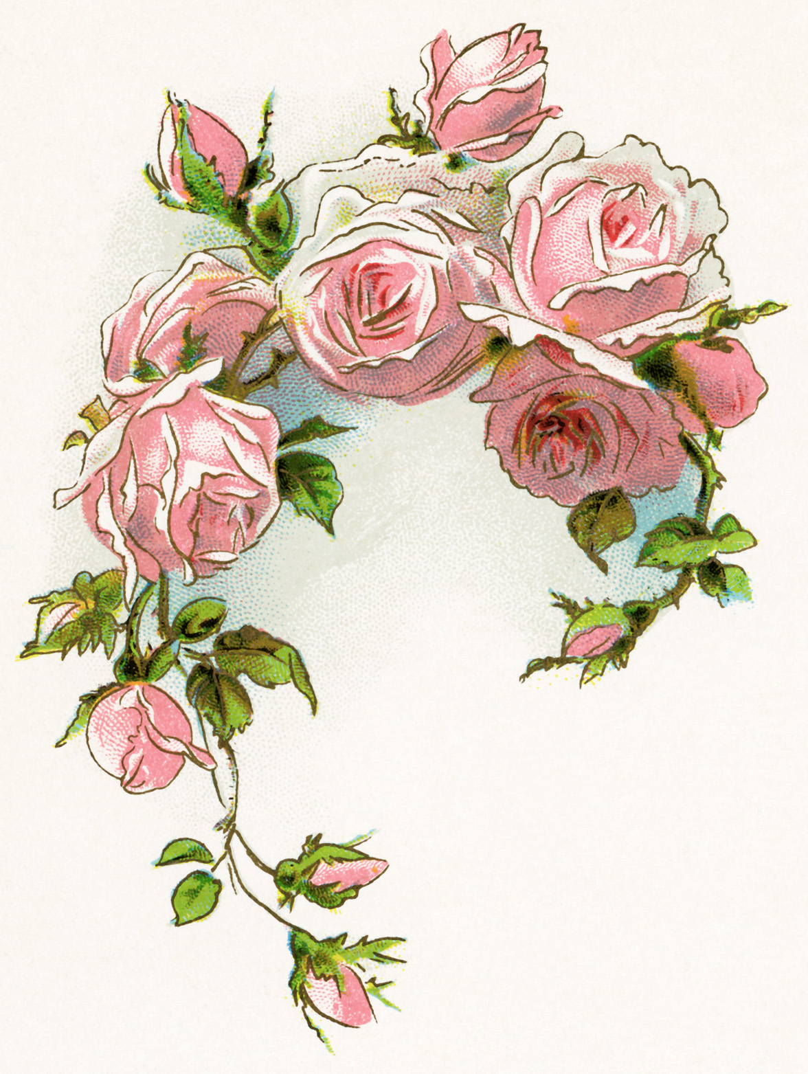 Vintage Pink Rose Clip Art Free