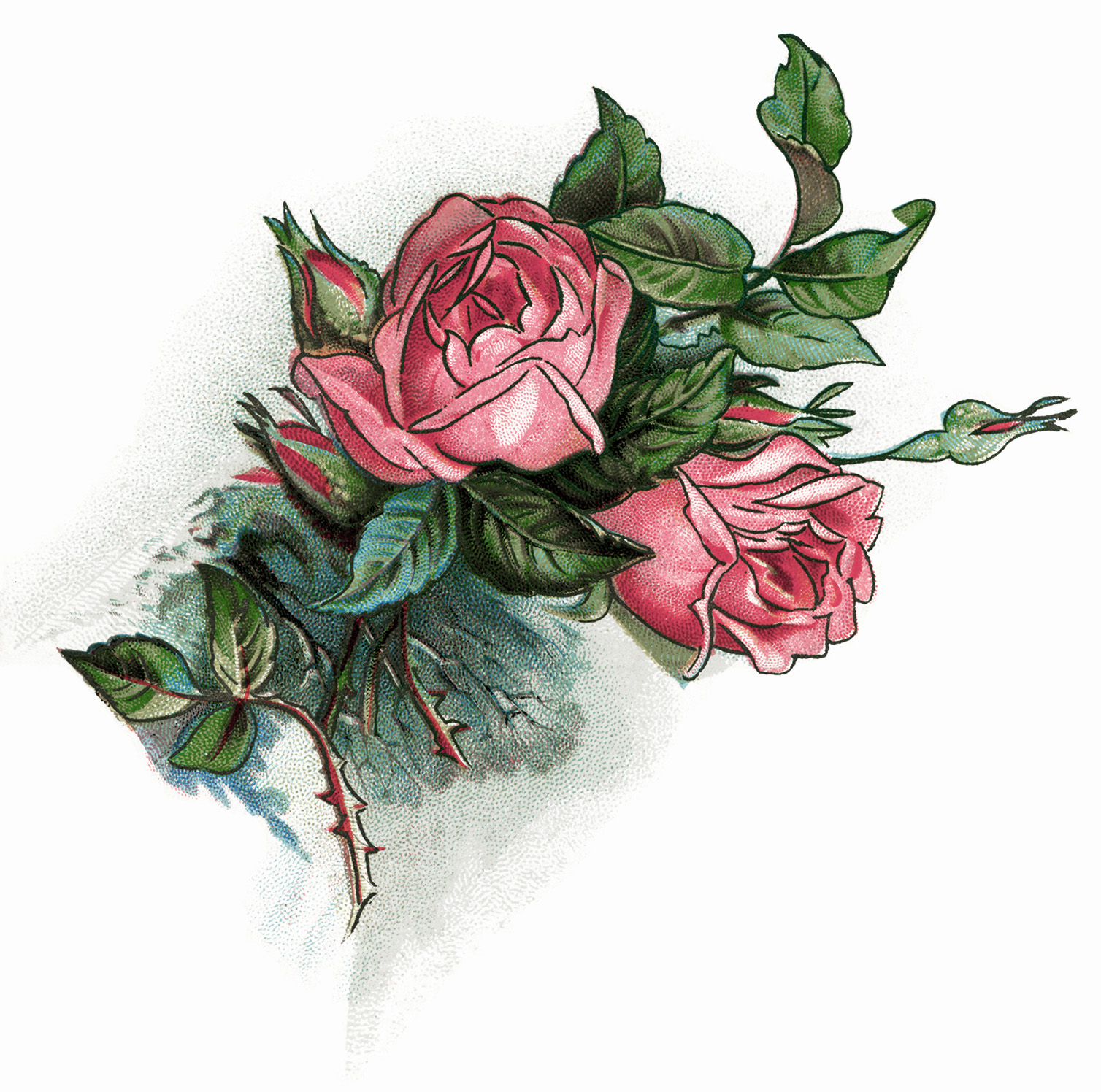 Vintage Pink Rose Clip Art