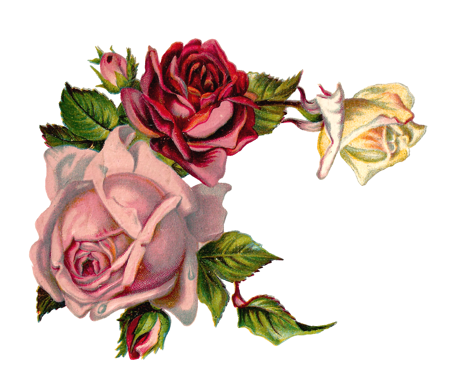 Vintage Rose Corner Designs Clip Art