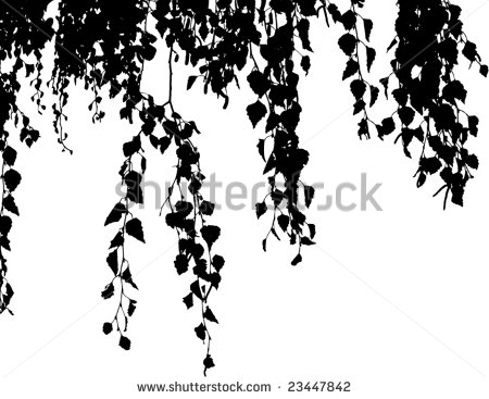 Willow Tree Branch Silhouette