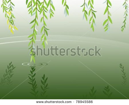 Willow Tree Vector Art