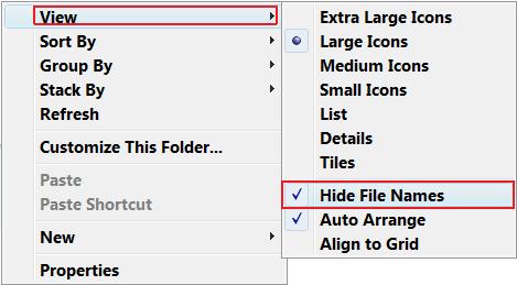 Windows Hidden File Icon