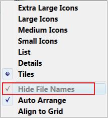 Windows Icon File Names