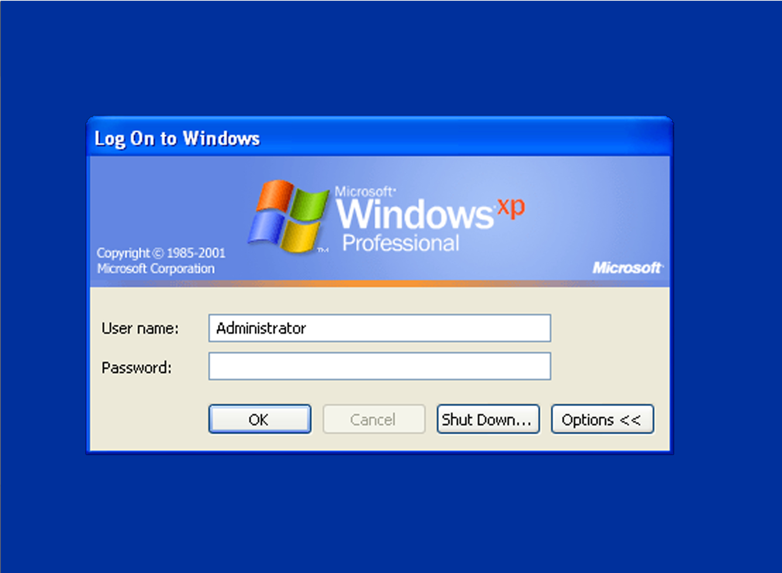 Windows XP Log On