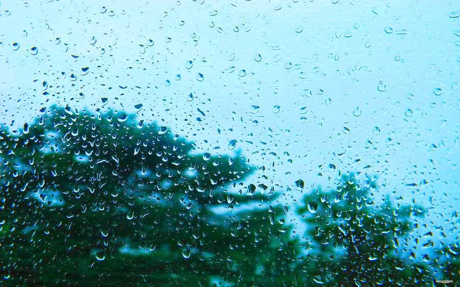 Winter Rain Drops Winter Rain Drops