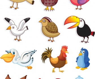 Cartoon Birds Vector