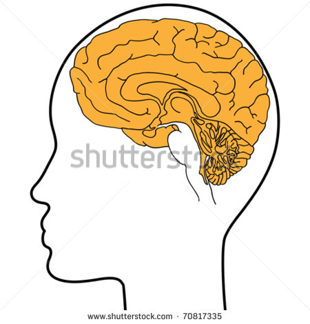 Cartoon Head with Brain