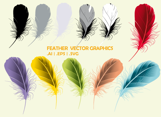 Feather Vector Graphics