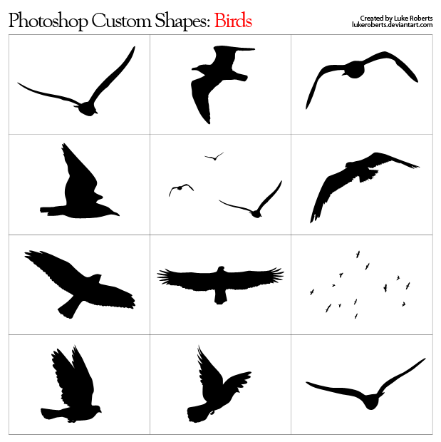 Flying Bird Shapes Flying Bird Shapes