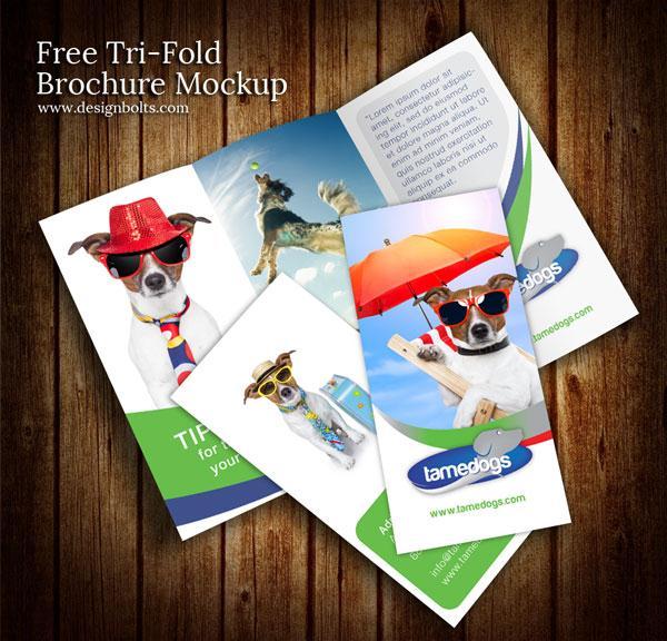 Free Tri-Fold Brochure Mockup PSD