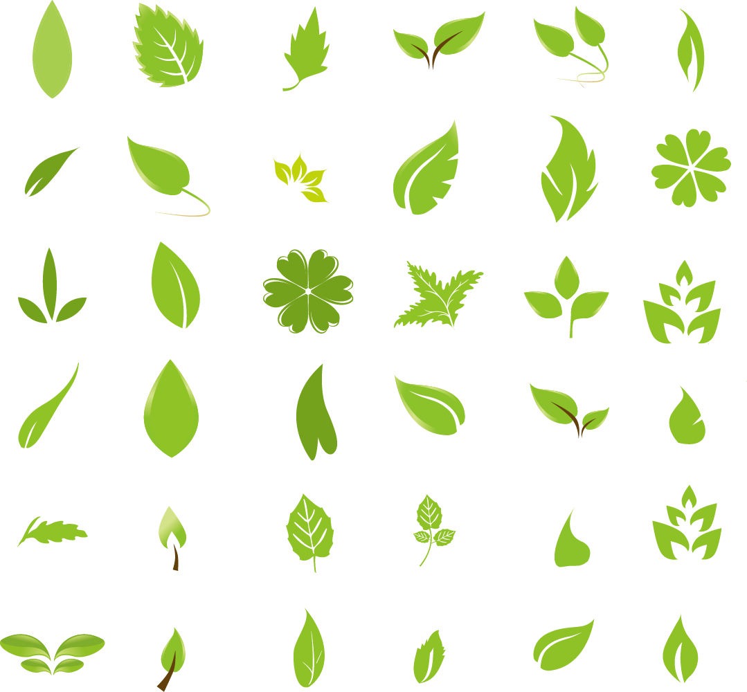 13 Green Vector Design Element Images