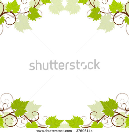 Grape Vine Vector Free