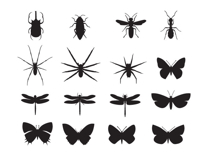 Insect Silhouettes Vector Free