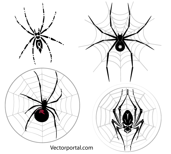 Spider Web Vector Art Free