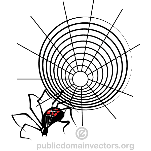 Spider Web Vector Art