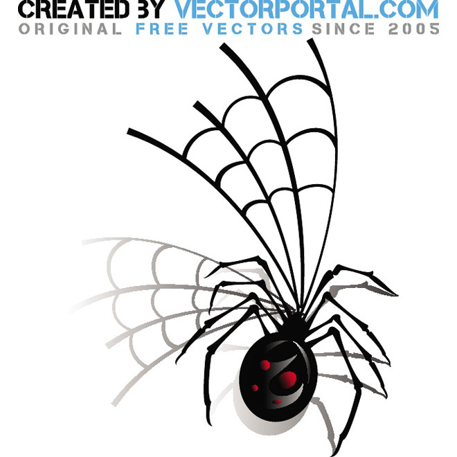 Spider Web Vector Art