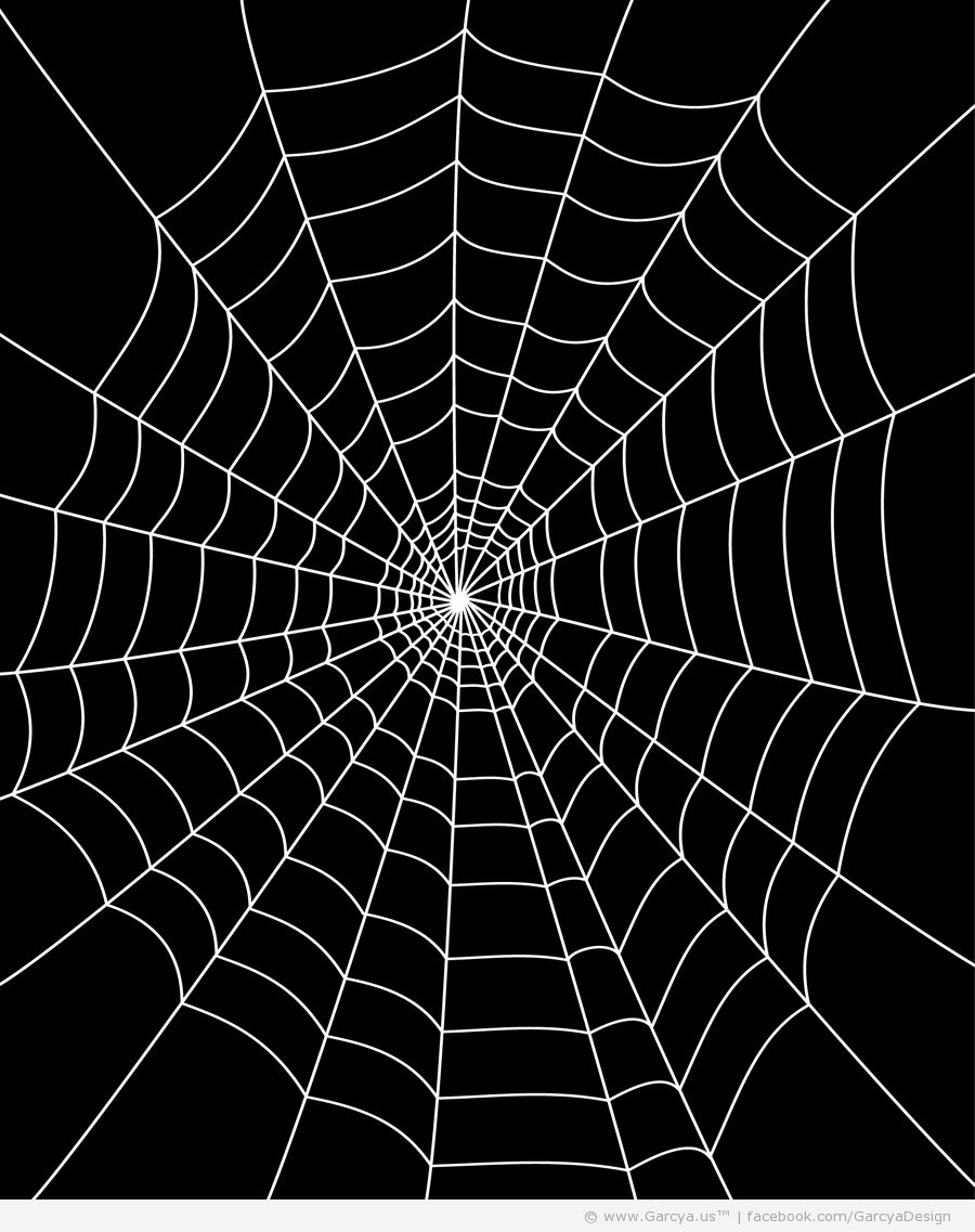 Spider Web Vector