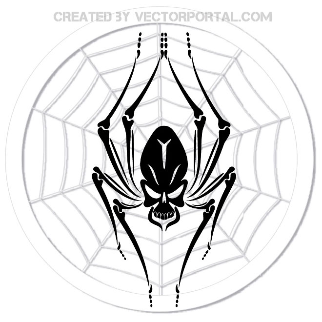 Spider Web Vector