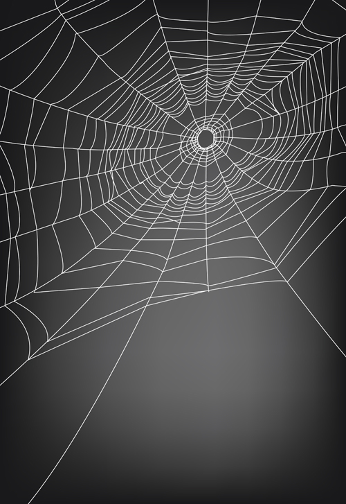 Spider Web Vector