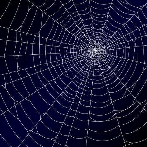 Spider Web Vector