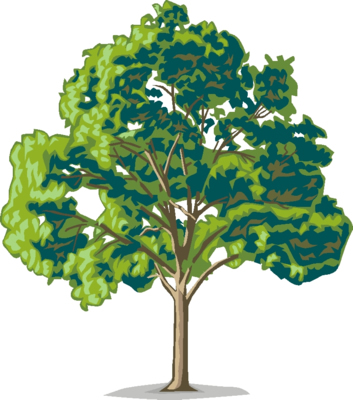 Tree Clip Art Free