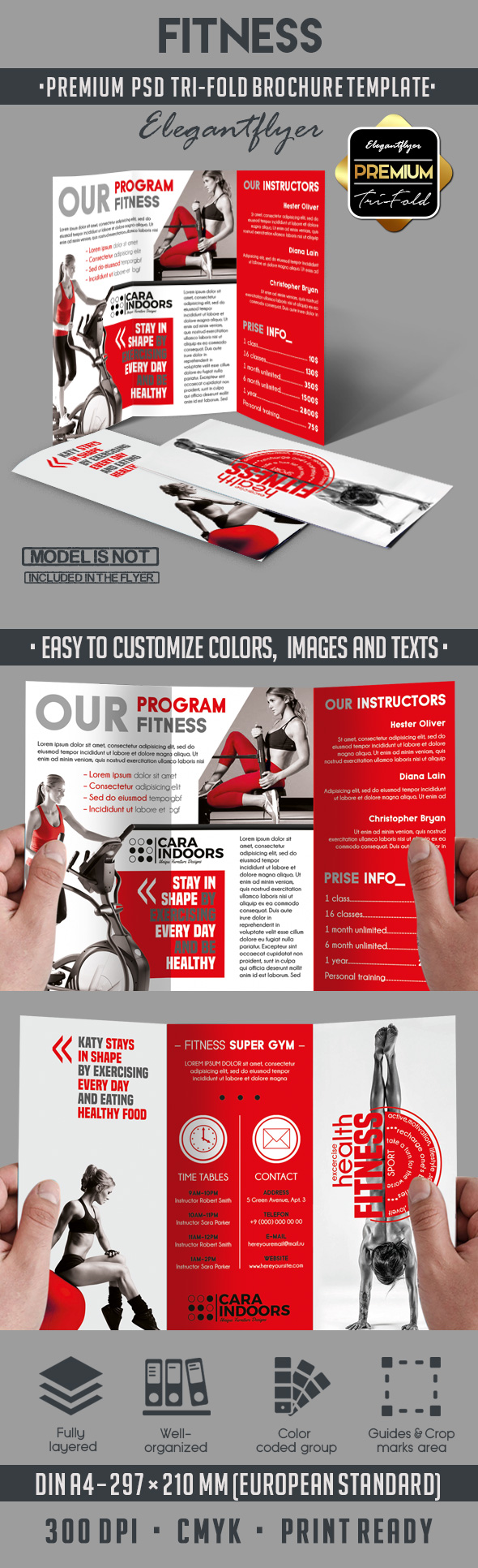 Tri-Fold Brochure Template Fitness