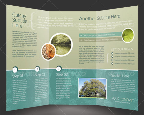 Tri-Fold Brochure Template InDesign