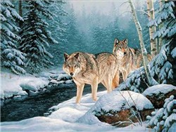 Wolf Screensavers and Desktop Themes