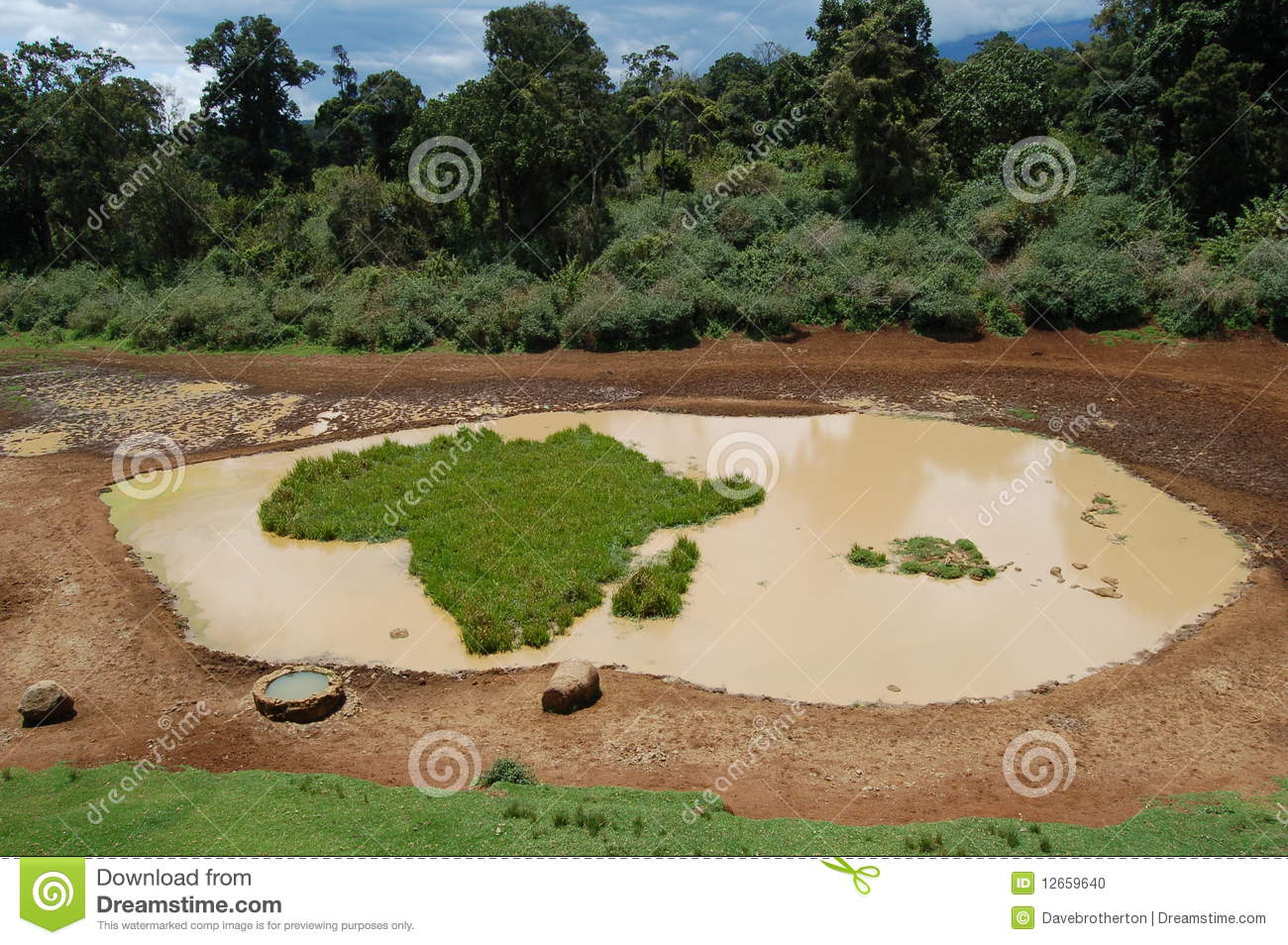 Africa Watering Hole