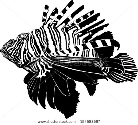 15 Photos of Zebra Fish Vector