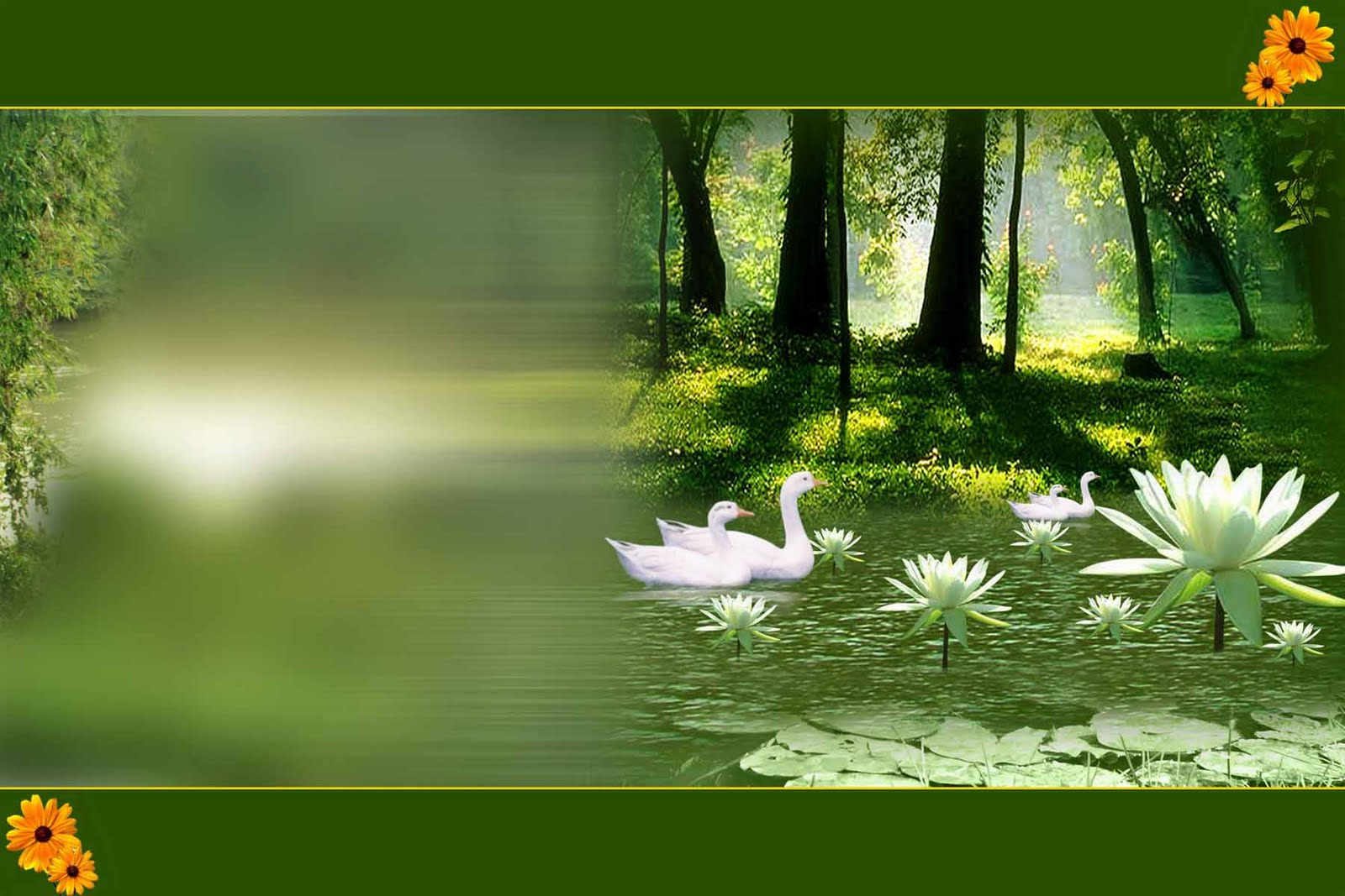 Background Digital Studio Software Free Download Background Digital Studio Software Free Download