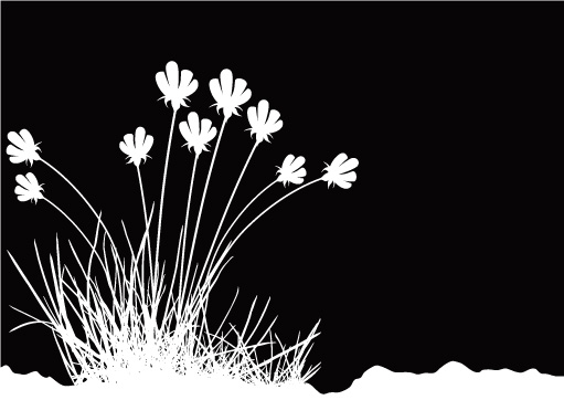 Black and White Flower Vector