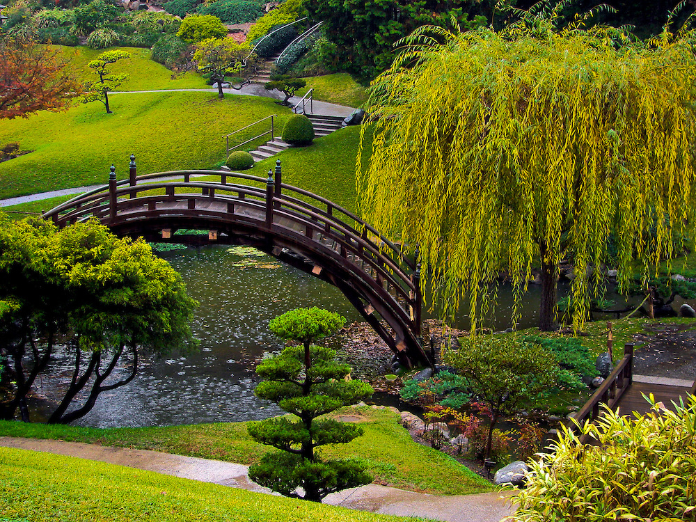 Bridge Landscape Photography