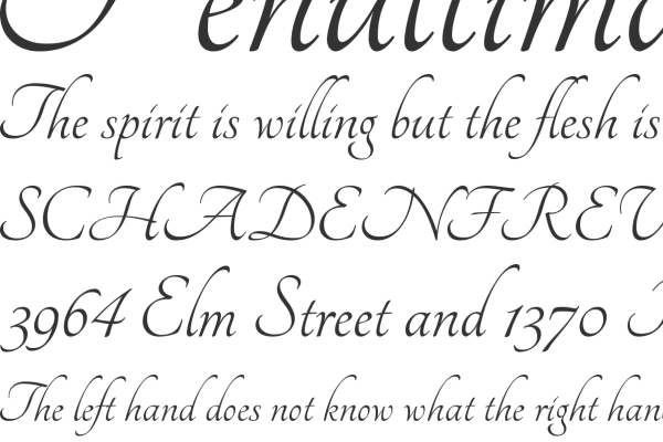 Calligraphy Fonts Free Download Calligraphy Fonts Free Download
