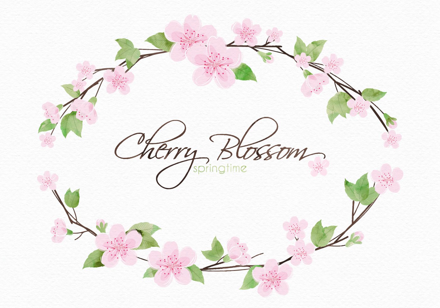 Cherry Blossom Branch Vector Cherry Blossom Branch Vector