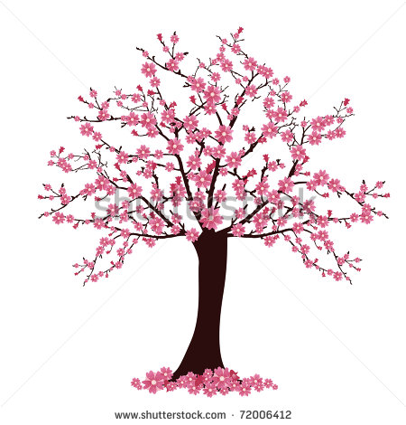 Cherry Blossom Tree Drawing