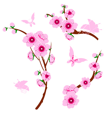 Cherry Blossom Vector Art Cherry Blossom Vector Art
