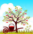 Cherry Tree Vector