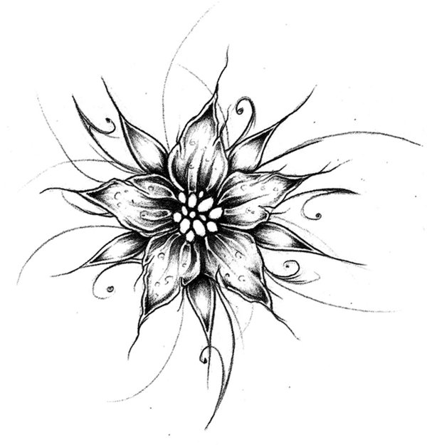 Cool Designs to Draw Flower