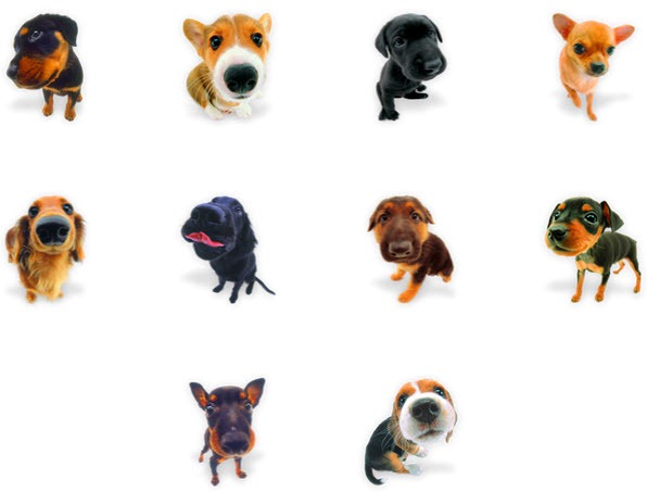 Cute Dog Icons