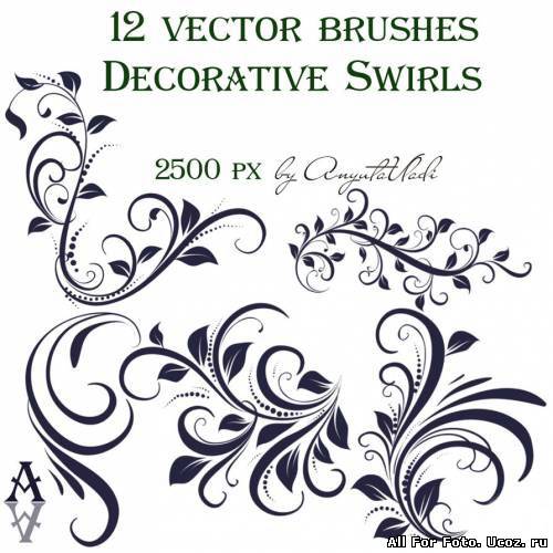 Decorative Swirls Vector Stock