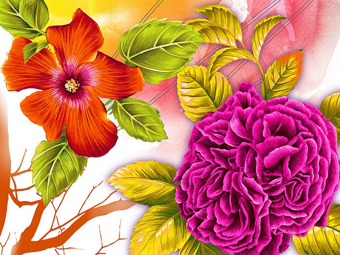Design Flower Floral Art Design Flower Floral Art